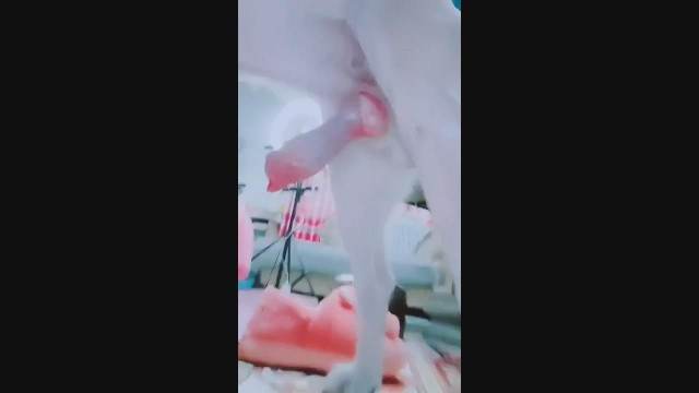 Cachorro comendo e gozando no cu da casada bunduda Mad GloryQuest Japones sexo com cachorro vídeos pornôs de animais grátis mulher de quatro no chiqueiro dando para um porco