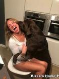 sexo bizarro com animais cavalo e cachorro comendo buceta de mulher zoofilia pesada festaprateada1 Zoosection art of zoo Nova tomando uma rolada de porco na vagina mulher de quatro pro cachorro