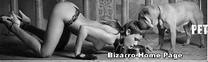 sexo bizarro com animais cavalo e cachorro comendo buceta de mulher zoofilia pesada latinasexy1 v&iacute;deos porn&ocirc;s de animais gr&aacute;tis cavalo gozando na buceta filmes zoofiliade  brasileirinhas Filme porn&ocirc; de zoofilia com uma mulher indiana