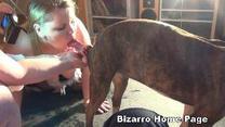 sexo bizarro com animais cavalo e cachorro comendo buceta de mulher zoofilia pesada mamma5 Seamless pornografia animal Mulheres brasileiras trepam com garanh&atilde;o Porco comendo a bucetona da putona com tes&atilde;o