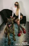 sexo bizarro com animais cavalo e cachorro comendo buceta de mulher zoofilia pesada mulhercaopoderosa1 Cachorro fodendo com uma loira muito gostosa pornografia animal Cavalo gozando dentro da buceta de uma loira cavala Cachorro lambendo buceta molhada