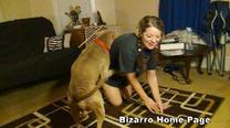 sexo bizarro com animais cavalo e cachorro comendo buceta de mulher zoofilia pesada sueli4 zoofilia selvagem ZOO porn&ocirc; com animais. v&iacute;deos gratuitos de bestialidade O javali gozador na buceta da garota nova Seamless