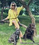 sexo bizarro com animais cavalo e cachorro comendo buceta de mulher zoofilia pesada veronicadfk1 Mad GloryQuest Japones sexo com cachorro Mulheres brasileiras trepam com garanh&atilde;o Porno Bizarro - Sexo Gratis animal sexo tubo