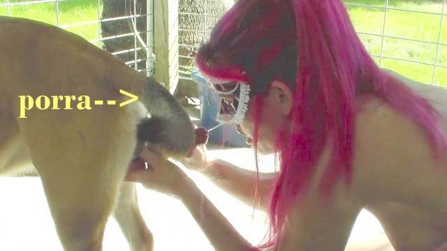 sexo bizarro fodas com animais cabeluda Porco comendo a bucetona da putona com tesão Bestiality woman having sex with animals cachorro de pau duro novinha gostosa brasileira dando a sua buceta para o cavalo