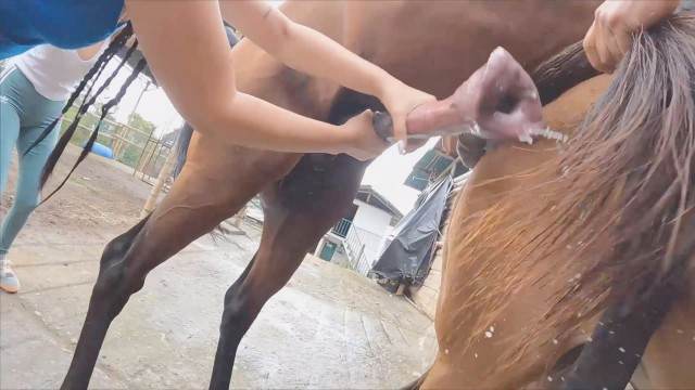 sexo bizarro cabeluda pinto de cavalo ZOO pornô com animais. vídeos gratuitos de bestialidade filmes anal sexual amor zoofílico orgia no zoológico animalsex Nova tomando uma rolada de porco na vagina