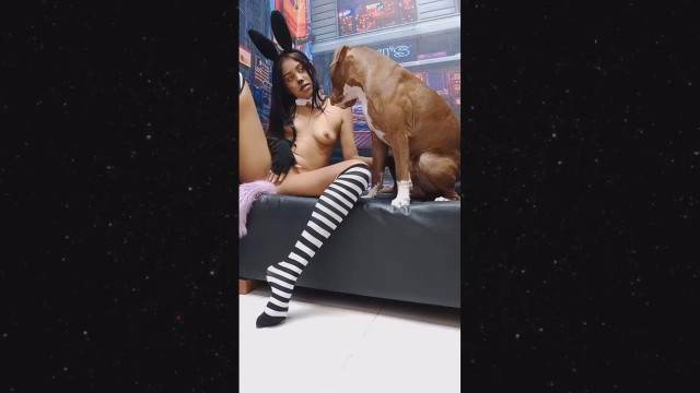 xoxota zoofilia peluda  sexo com animais Cachorro lambendo buceta molhada novinha gostosa brasileira dando a sua buceta para o cavalo sexo bizarro Zoofilia com uma loira gostosa