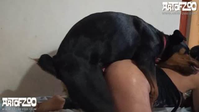 zoofilia dogbond cachorro gozando Filme pornô de zoofilia com uma mulher indiana Bestiality woman having sex with animals melhores filmes de bestialidade de todos os tempos cavalo gozando na mulher