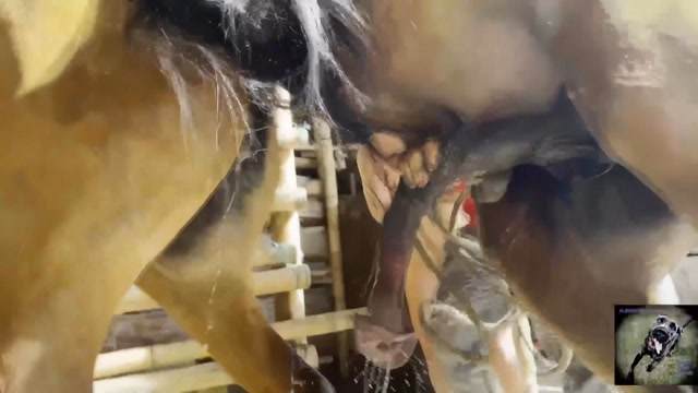 Filmes para Download xoxota fodas com animais Pornô de cavalo gozando dentro de mulher sexo com cavalos e uma MILF novinha gostosa brasileira dando a sua buceta para o cavalo cavalo de pau duro