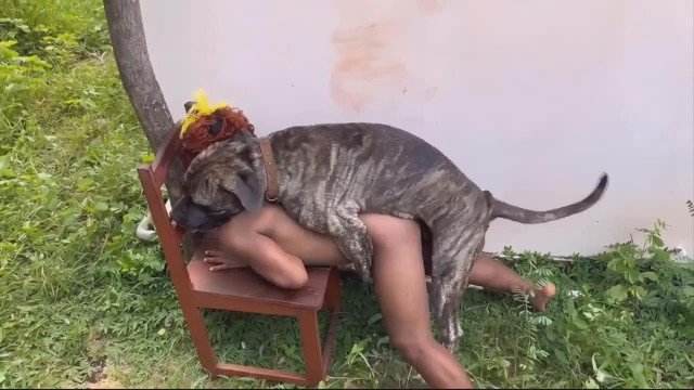 fodas com animais zoofilia DVDs Vídeo de sexo bestial grátis Bestiality woman having sex with animals cachorro caralhudo comendo a buceta de loira Porco Comendo Cuzinho De Mulher Quarentona