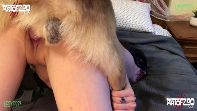 zoofilia dogbond fodas com animais Cavalo de Pau Molhado e Mulher Chupando site de tubo de sexo zoo animal Filmes Pornô Com Cachorros - Zoofilia Amadora Zoosection