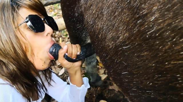 cachorro gozando fodas com animais Filmes para Download zoofilia selvagem filmes anal sexual amor zoofílico orgia no zoológico Andy Private Caledonian ,ZOOdelight ,Zooskool ZOOSEX k9lady