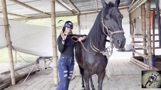 sexo bizarro zoofilia cabeluda Mulher Negra chupando pica de cavalo filmes zoofiliade  brasileirinhas Cavalo gozando dentro da buceta de uma loira cavala vídeos pornôs de animais grátis