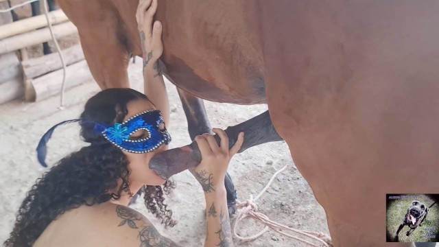 sexo bizarro zoofilia cabeluda Mulheres brasileiras trepam com garanhão Mulher latina fazendo sexo com cavalo O javali gozador na buceta da garota nova Filme pornô de zoofilia com uma mulher indiana