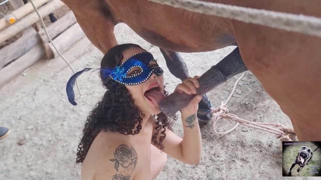 sexo bizarro zoofilia cabeluda Pornô de cavalo gozando dentro de mulher Puta transando com um cavalo em pé Mulher batendo punheta pro cachorro pornô zoofilia com oral