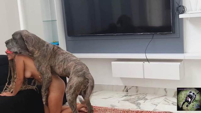 dogbond xoxota cachorro gozando site de tubo de sexo zoo animal zoofilia selvagem Cachorro comendo e gozando no cu da casada bunduda cavalo mete com força na buceta