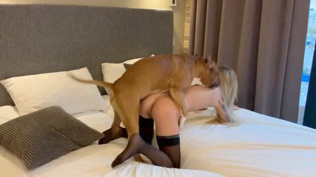 cachorro gozando peluda  sexo com animais sexo bizarro pornografia animal Puta transando com um cavalo em pé Seamless art of zoo
