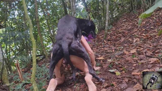 DVDs cabeluda sexo bizarro site de tubo de sexo zoo animal Mulher trepando com cavalão enquanto marido cornao assiste Mulher batendo punheta pro cachorro novinha gostosa brasileira dando a sua buceta para o cavalo