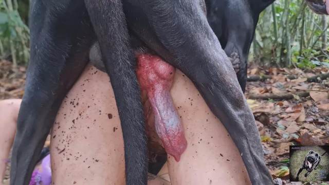 DVDs cabeluda sexo bizarro k9lady Mulher latina fazendo sexo com cavalo mulher de quatro no chiqueiro dando para um porco sexo com cavalos e uma MILF