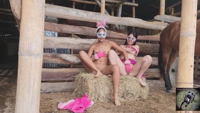 peluda  sexo com animais Filmes para Download DVDs Filme pornô de zoofilia com uma mulher indiana Assista pornografia de bestialidade gratuita cavalo gozando na mulher Cachorro comendo e gozando no cu da casada bunduda