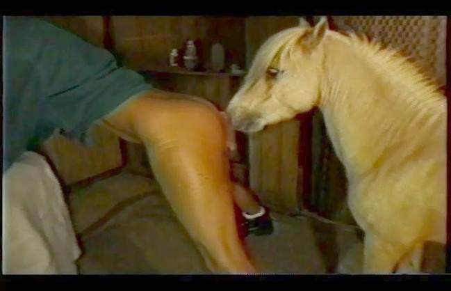xoxota DVDs pinto de cavalo Nova tomando uma rolada de porco na vagina Mulher batendo punheta pro cachorro vídeos pornôs de animais grátis porco comendo buceta
