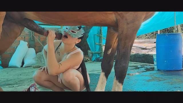 xoxota peluda  sexo com animais sexo bizarro novinha gostosa brasileira dando a sua buceta para o cavalo k9lady zoofilia selvagem Vídeo de sexo bestial grátis