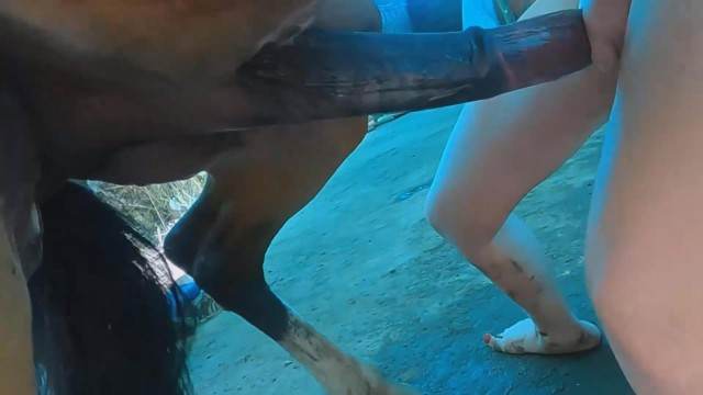 xoxota peluda  sexo com animais sexo bizarro Cavalo de Pau Molhado e Mulher Chupando Raven having sex with Dog pornografia animal animalsex