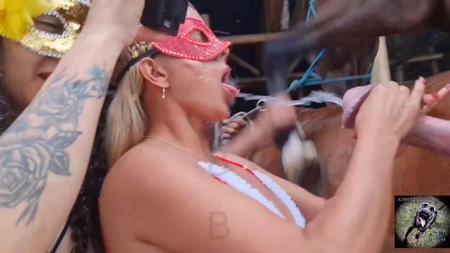 zoofilia xoxota dogbond Pornô de cavalo gozando dentro de mulher porco comendo buceta namorada loira a transar com cavalo Puta transando com um cavalo em pé