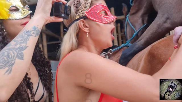 zoofilia xoxota dogbond Cachorro arrombando buceta da dona pornografia animal Porco comendo a bucetona da putona com tesão cachorro caralhudo comendo a buceta de loira
