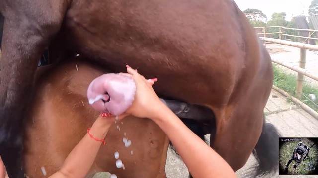 fodas com animais cabeluda dogbond sexo bizarro Mad GloryQuest Japones sexo com cachorro mulher de quatro no chiqueiro dando para um porco Vídeos porno de zoofilia con perros y caballos que follan a las chicas zoofílicas