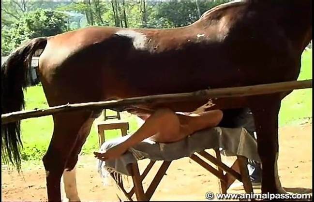 xoxota pinto de cavalo cachorro gozando filmes zoofiliade  brasileirinhas zoofilia selvagem ZOO pornô com animais. vídeos gratuitos de bestialidade sexo com cavalos e uma MILF