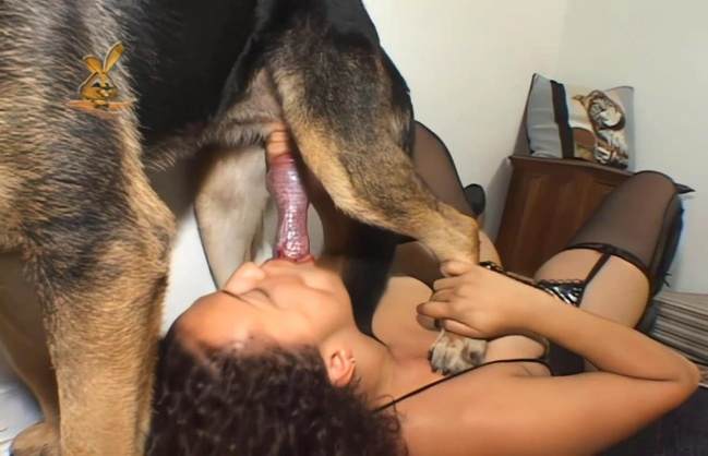 zoofilia Filmes para Download sexo bizarro Cavalo gozando dentro da buceta de uma loira cavala Zoosection Cachorro arrombando buceta da dona zoofilia selvagem