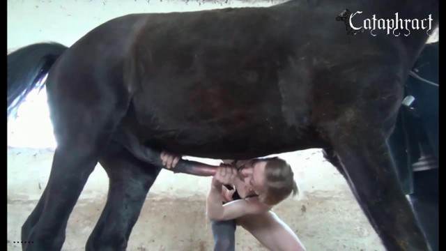 pinto de cavalo DVDs cachorro gozando Mulher batendo punheta pro cachorro Lise private club animalsex Cachorro fodendo com uma loira muito gostosa Zoosection