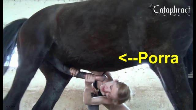 pinto de cavalo DVDs cachorro gozando cavalo de pau duro Cavalo de Pau Molhado e Mulher Chupando Vídeos porno de zoofilia con perros y caballos que follan a las chicas zoofílicas Lise private club animalsex