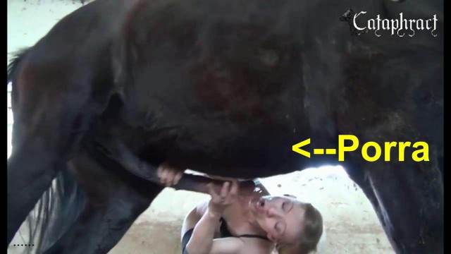 pinto de cavalo DVDs cachorro gozando cavalo gozando na buceta Assista pornografia de bestialidade gratuita Cachorro arrombando buceta da dona Nova tomando uma rolada de porco na vagina
