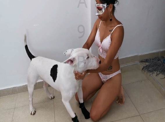 zoofilia cabeluda DVDs mulher de quatro no chiqueiro dando para um porco Mulher trepando com cavalão enquanto marido cornao assiste novinha gostosa brasileira dando a sua buceta para o cavalo Raven having sex with Dog