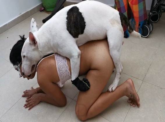 zoofilia cabeluda DVDs novinha gostosa brasileira dando a sua buceta para o cavalo porco comendo a buceta Mulheres brasileiras trepam com garanhão animal sexo tubo
