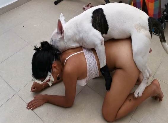 zoofilia cabeluda DVDs cachorro caralhudo comendo a buceta de loira Mulher Negra chupando pica de cavalo Mad GloryQuest Japones sexo com cachorro Seamless
