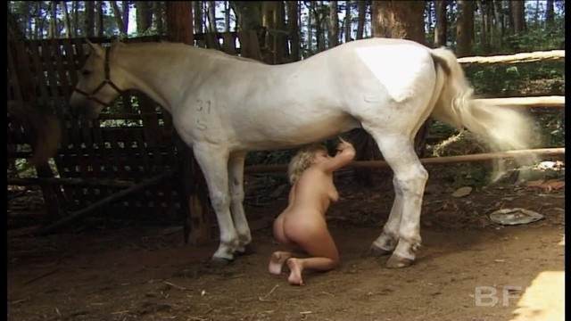 zoofilia Filmes para Download pinto de cavalo zoofilia selvagem cavalo gozando na buceta art of zoo Cachorro arrombando buceta da dona