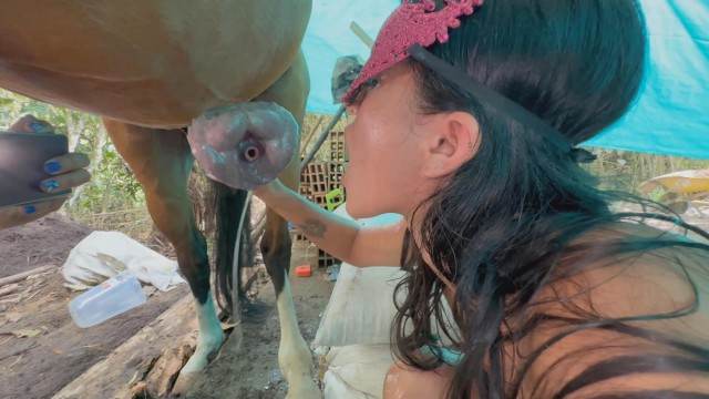 cachorro gozando sexo bizarro peluda  sexo com animais novinha gostosa brasileira dando a sua buceta para o cavalo Mad GloryQuest Japones sexo com cachorro Filme pornô de zoofilia com uma mulher indiana Cachorro dá um nó na buceta da e engata o pinto até gozar
