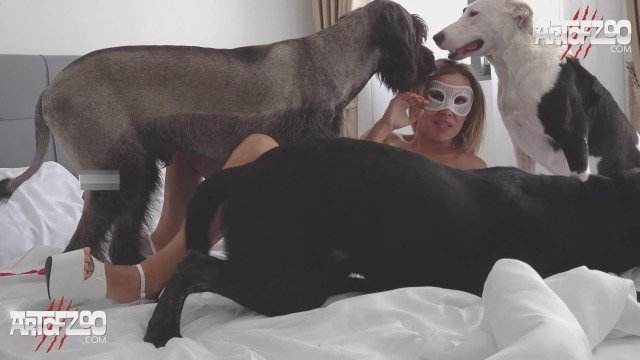 cachorro gozando cabeluda pinto de cavalo sexo com cavalos e uma MILF cachorro ejaculando Cachorro comendo e gozando no cu da casada bunduda Mulher latina fazendo sexo com cavalo