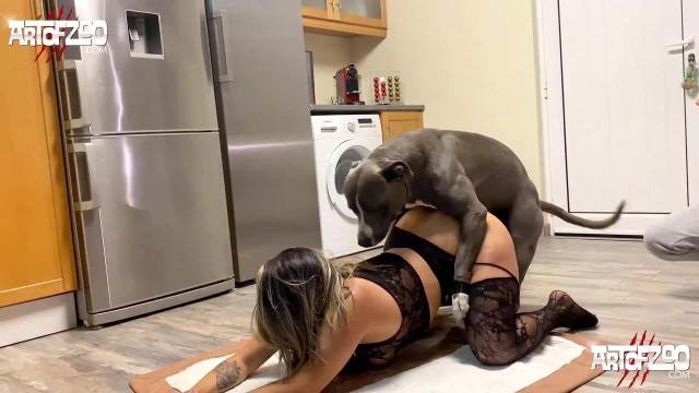zoofilia dogbond peluda  sexo com animais cachorro de pau duro ZOO pornô com animais. vídeos gratuitos de bestialidade Penetração Sexo com cachorro Pornografia de zoológico grátis Filme pornô de zoofilia com uma mulher indiana