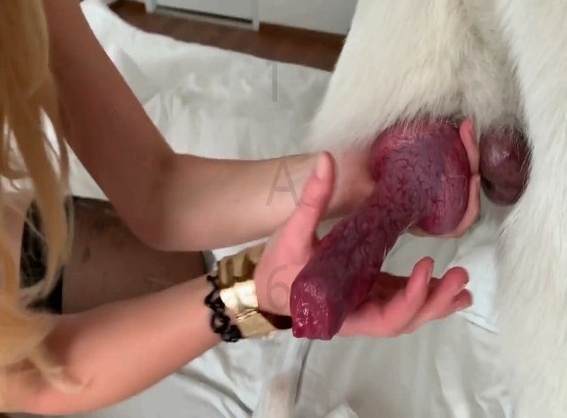 fodas com animais dogbond peluda  sexo com animais k9lady Raven having sex with Dog cachorro comendo buceta mulher de quatro no chiqueiro dando para um porco
