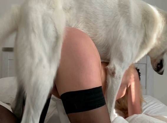 fodas com animais dogbond peluda  sexo com animais k9lady Mulher batendo punheta pro cachorro Zoosection Pornô de cavalo gozando dentro de mulher