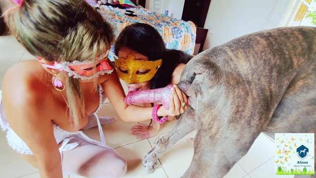 pinto de cavalo xoxota zoofilia cachorro ejaculando Vídeo de sexo bestial grátis Cachorro comendo e gozando no cu da casada bunduda Bestiality woman having sex with animals