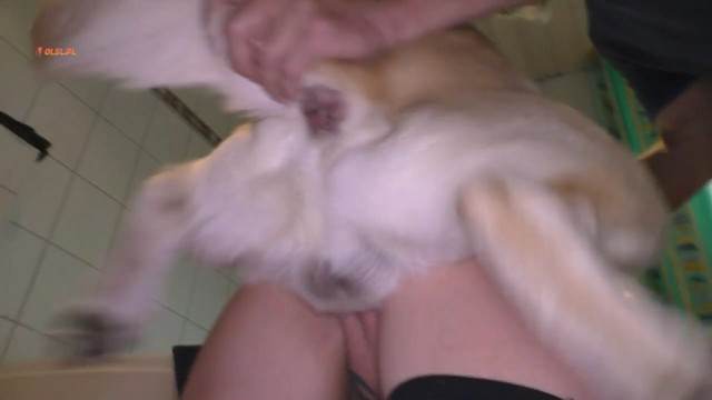 peluda  sexo com animais dogbond DVDs Mulher Negra chupando pica de cavalo sexo com cavalos e uma MILF Mulher latina fazendo sexo com cavalo site de tubo de sexo zoo animal