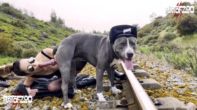 fodas com animais peluda  sexo com animais cachorro gozando novinha gostosa brasileira dando a sua buceta para o cavalo Cavalo gozando dentro da buceta de uma loira cavala cachorro ejaculando Assista pornografia de bestialidade gratuita