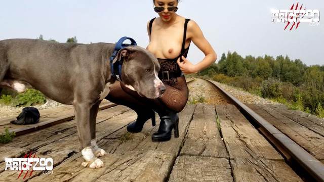 fodas com animais peluda  sexo com animais cachorro gozando Seamless Andy Private Caledonian ,ZOOdelight ,Zooskool ZOOSEX Porno Bizarro - Sexo Gratis Cachorro dá um nó na buceta da e engata o pinto até gozar