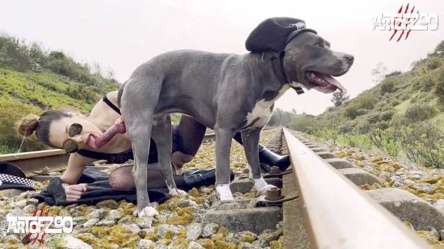fodas com animais peluda  sexo com animais cachorro gozando Cachorro fodendo com uma loira muito gostosa cavalo mete com força na buceta ZOO pornô com animais. vídeos gratuitos de bestialidade filmes anal sexual amor zoofílico orgia no zoológico