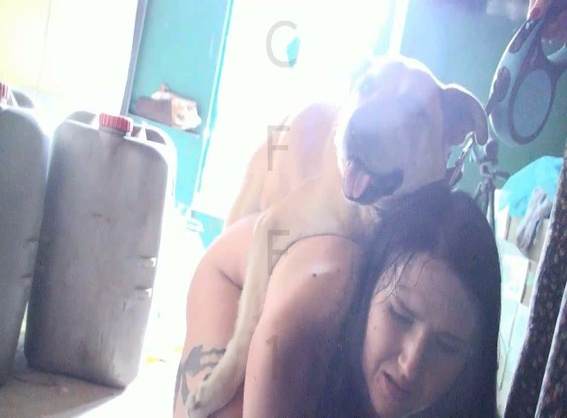 fodas com animais cabeluda peluda  sexo com animais Bestiality woman having sex with animals pornografia animal pornô zoofilia com oral alisonprod