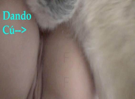 fodas com animais cabeluda peluda  sexo com animais sexo com cavalos e uma MILF Mulher Transando Com Cachorro Raven having sex with Dog Raven, DogWoman, Alison, Yasmin, Gisele, Vixen, Cupcake, Lise, Sonia Zoofilia